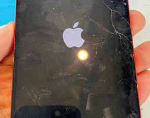 IPHONE Repair in Ashwood