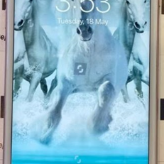 IPHONE Repair in Balaclava